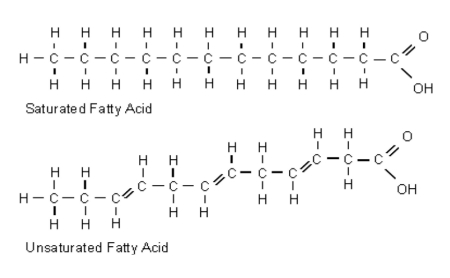 structure of saturated and unsaturated fatty acid